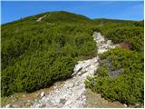 Jakobe - Bistriška špica/Feistritzer Spitze